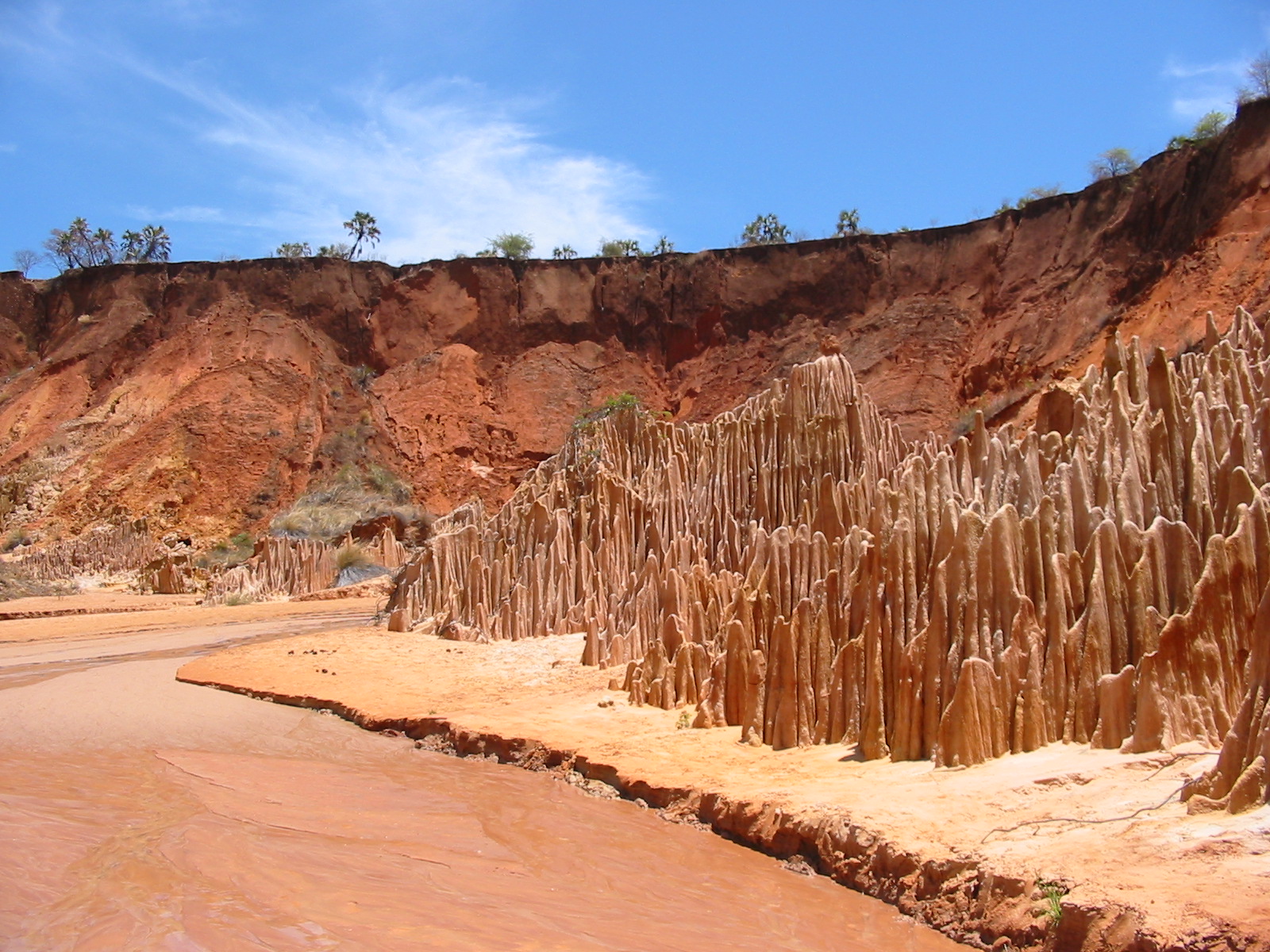 North Circuit - Spiny Forest, Wildlife and Beaches